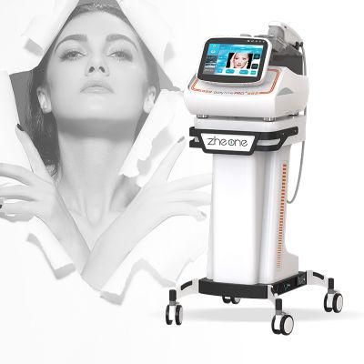 2022 Portable Powerful Hifu Theory 4D 7D Verified Hifu Machine Portable Handheld