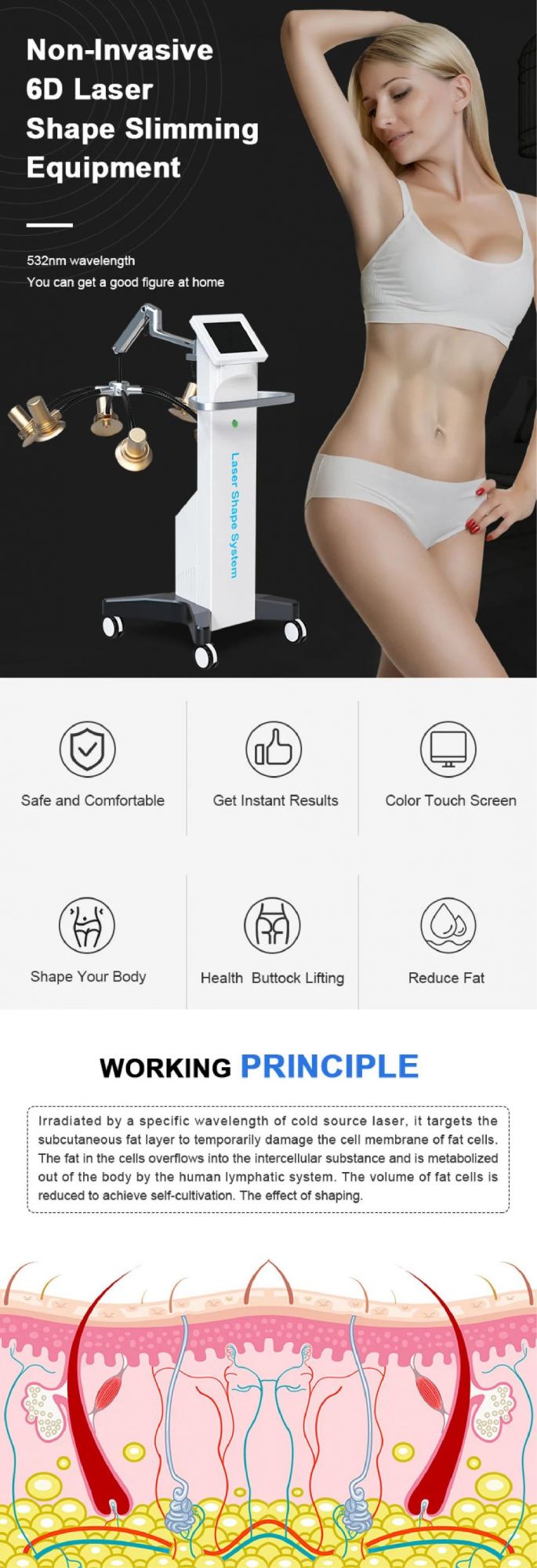 6D 532nm Laser Slimming Lipo Laser Machine for Non-Invasive Fat Reduction