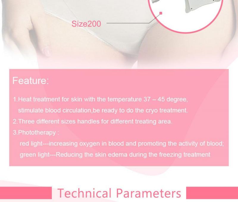 Hot Selling Professional Cryolipolysis Anti Freezing Equipment (ETG50-3S)