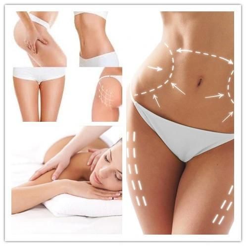 Cryolipolysis for Body Weight Lose & Slimming Equipment