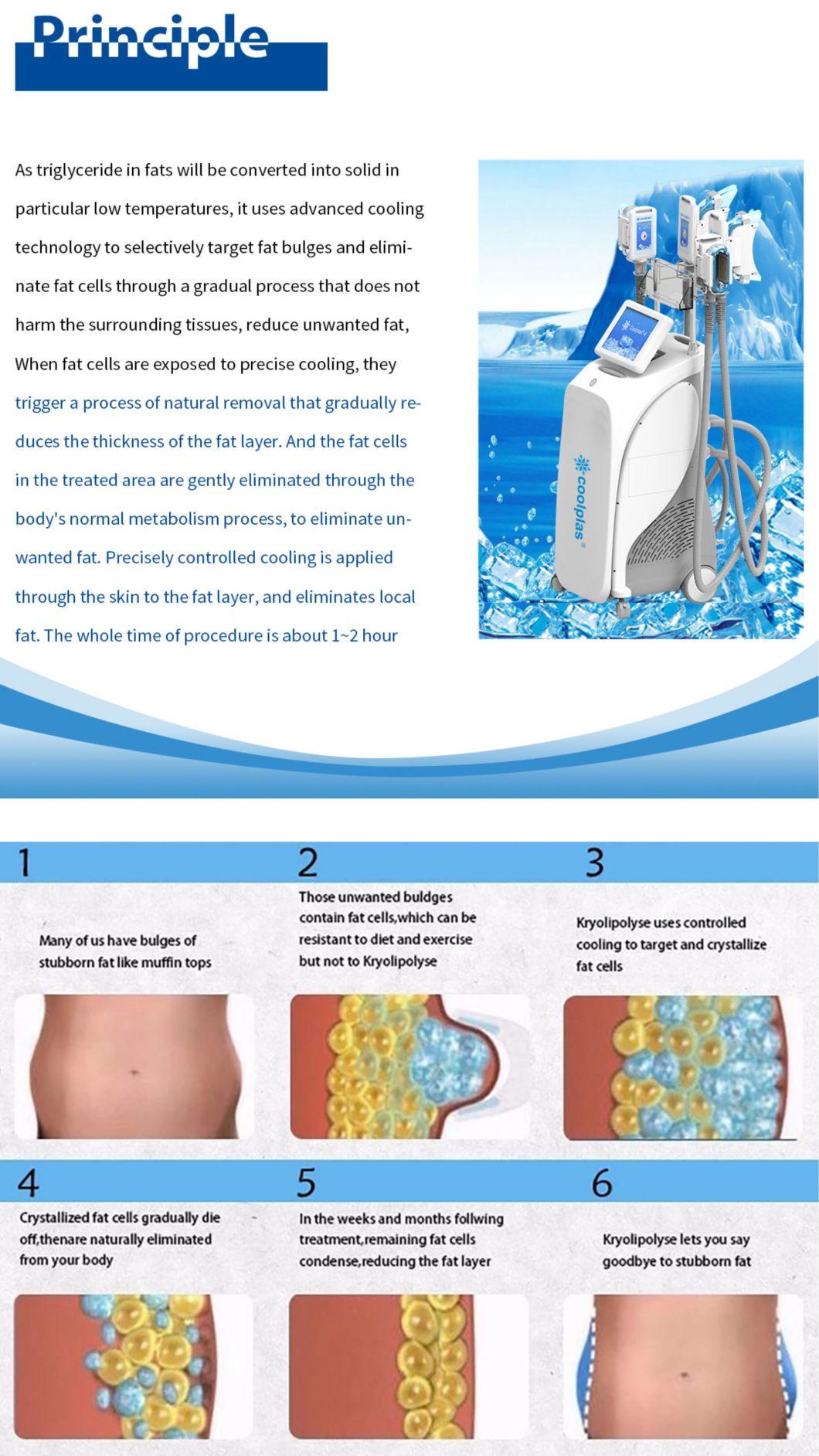 Excellent Effect Fat Dissolved Weight Loss Cryolipolysis Machine Coolplas Coolingsculpt Machine (J)