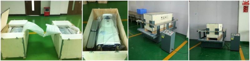 Medical Ce Approved Portable Hair Removal IPL Shr Machine in Clinic and SPA