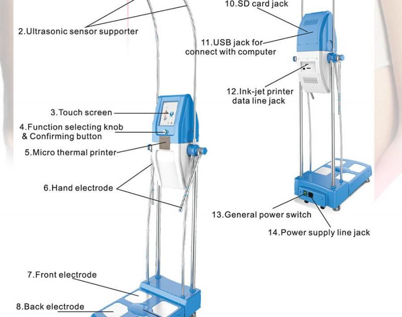 Professional Body Composition Analyzer (GS6.6)