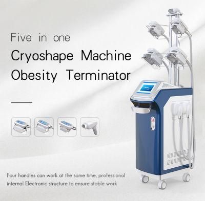 Factory Price 5 Handles Cryolipolysis Machine 360 Surrounding Coolsculption Slimming Machine for Double Chin