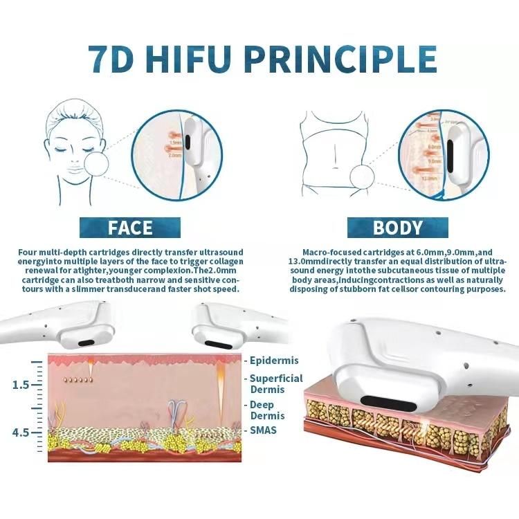 2 Handles Portable Hifu Microneedle Therapy Beauty Machine