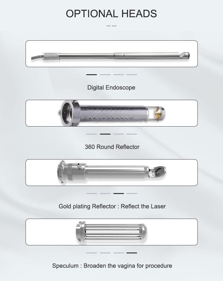 CO2 Fractional Laser with Virginal Treatment