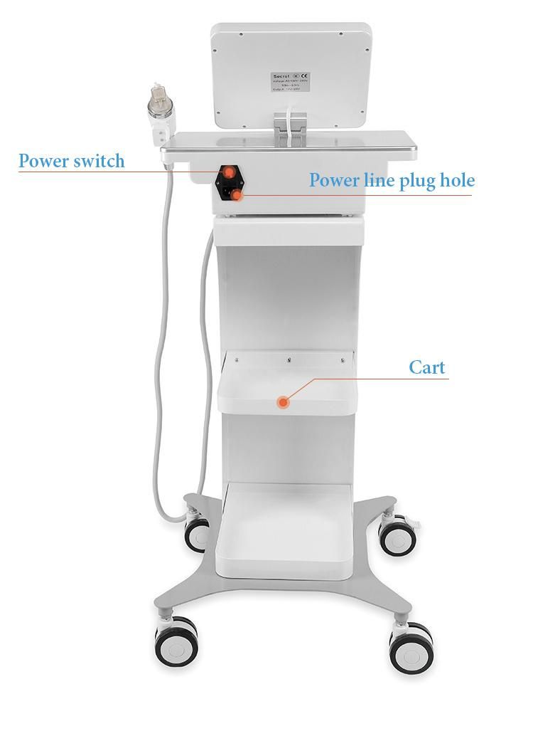 Face Lifting Radio Frequency Portable Machine Fractional RF Microneedle Machine