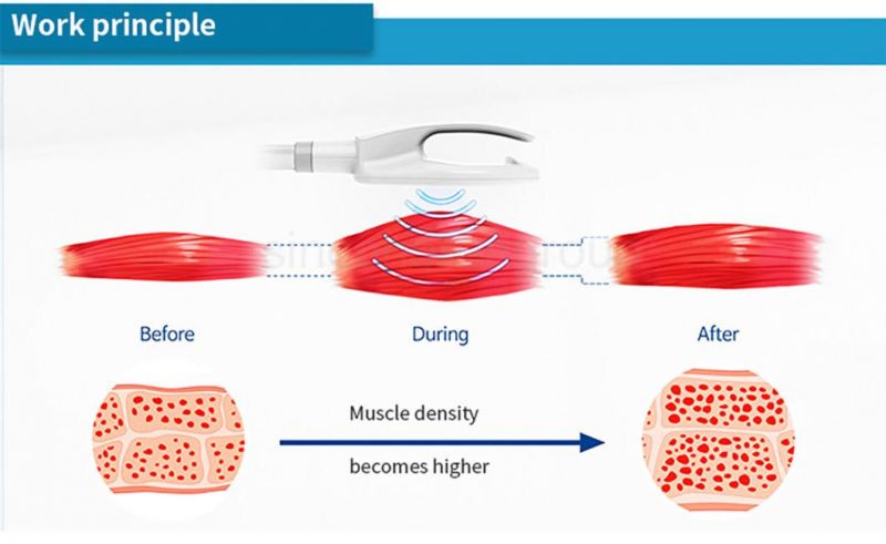 13.46 Tesla RF Muscle Building Stimulator Sincosculpt Body EMS Machine 5000W Beauty Machine with Promotion