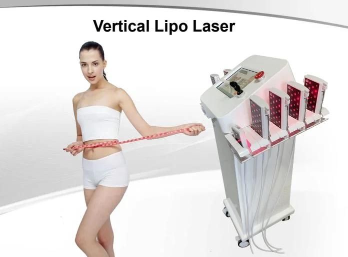 New 12 Paddle LCD Color Touch Screen Lipo Laser Body Slimming Vertical Non-Invasive Fat Removal 5D Lipolaser