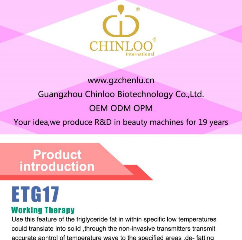 2015 Hottest Selling Non Invasive Fat Reduction and Weight Loss Cryolipolysis Beauty Machine (ETG17)