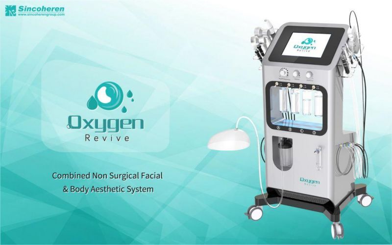 Hydraficial Oxygen Skin Machine 9 Handles Rejuvenation Beauty Oxygen Jet Peeling Aqua Oxgen O2 Peel Oxygen Revive for Skin Care Machine (T)