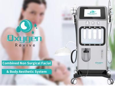 Micro Current Therapy Oxygen Revive Sinco Oxy100 Beauty Equipments for Skin Rejuvenation