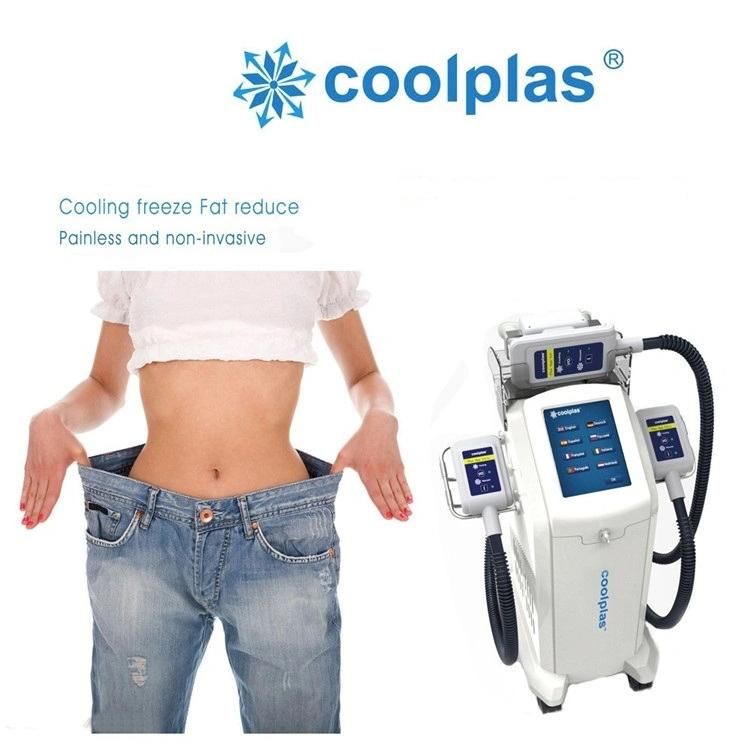 New Product Ideas 2019 Fat Freezing Slimming 3-in-1 Rbeautifying Machine