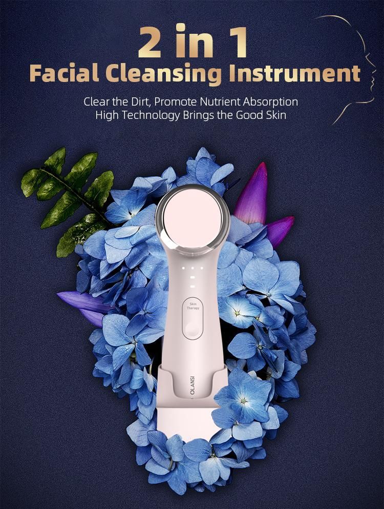 RF Facial Skin Care Products Beauty Instrument