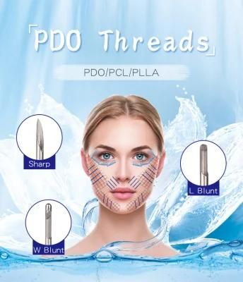 Plla Disposable Lift Vline W Needle 19g 100mm Cosmetic 6D Cog Pdo Thread for Face