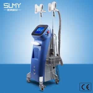 Professional 2 Handles Weight Loss Fat Freezing Slimming Cryolipolysis Beauty Equipment