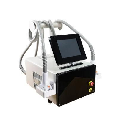Best Slimming 1060nm Body Slimming Diode Laser 2 Treatment Handpieces Sculpsure Fat Burning Diode Laser Machine for Fat Removal Body Slimming