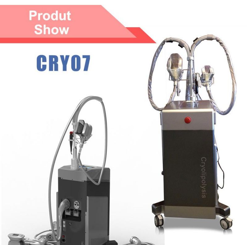 2015 Non Invasive Cryotherapy Fat Dissolving Handle Cellulite Reduction Slimming Beauty Machine (CRY07)