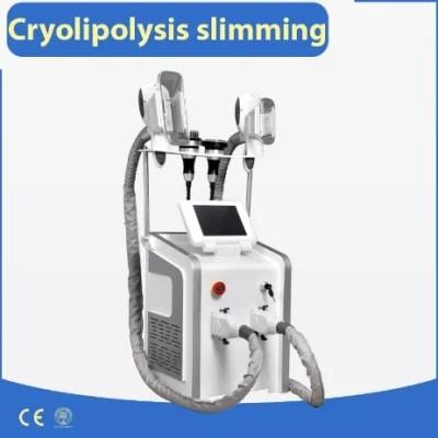 Promotion! ! ! New Model Beauty Cryolipolysis Slimming Machine Price