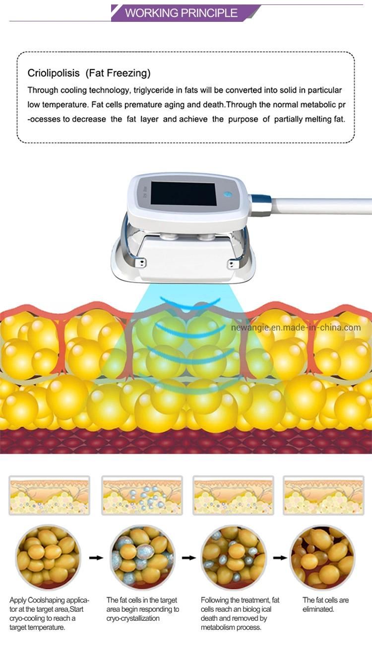 Cryotherapy Cryolipolysis Weight Loss Body Slimming Cryolipolyse Fat Freezing Liposuction Machine