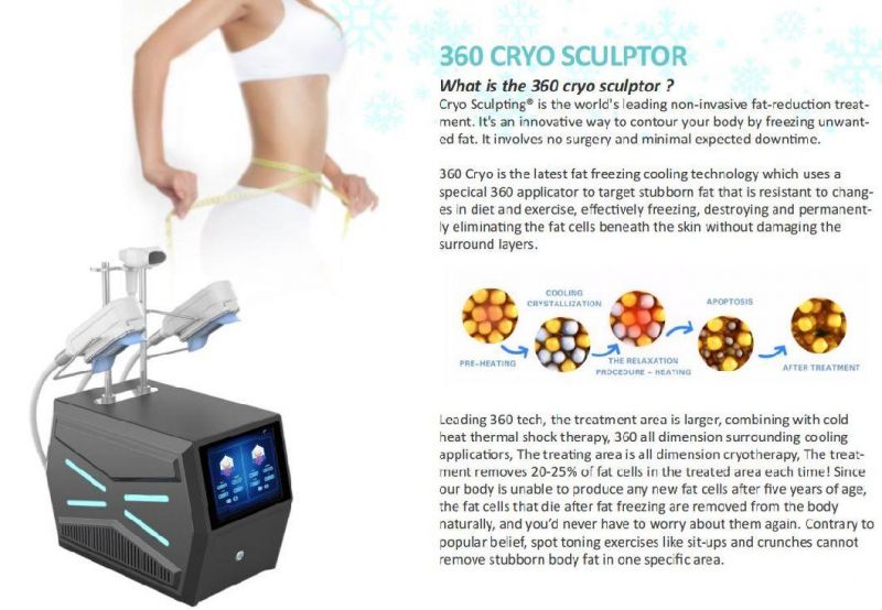 Exclusive Appearance 360 Cryolipolysis Fat Freezing Body Slimming Machine