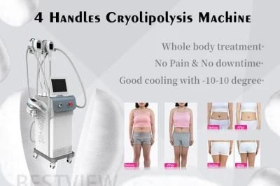 Beauty Salon Equipment 4-Handles Cryolipolysis Body Slimming Machine Medical Machine