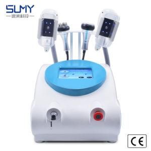 RF Body Lifting Weight Loss Fat Freezing Zeltiq Cryolipolysis Beauty Equipment