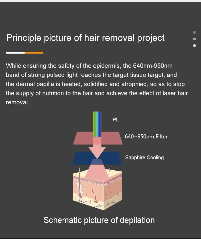 Laser Hair Removal Beauty Machine Dpl IPL Laser Hair Removal Machine Permanent Hair Removal Beauty Instrument