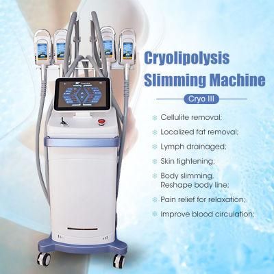 Fat Freeze Double Chin Body Sculp Radiofrequency Cryolipolysis 360 Hot/Cold