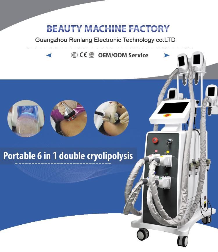 Renlangbeauty Best Selling 6 Handles Cryolipolysis Slimming Machine