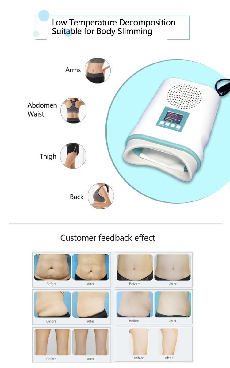 Professional Salon Use Cooling Technology Cryo Pad Antifreeze Mini Weight Loss Slimming Machine