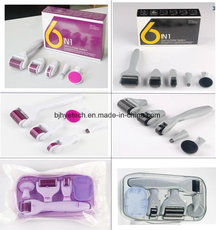 6 in 1 Dermaroller Microneedle with Silicone Facial Brush Beauty Derma Roller