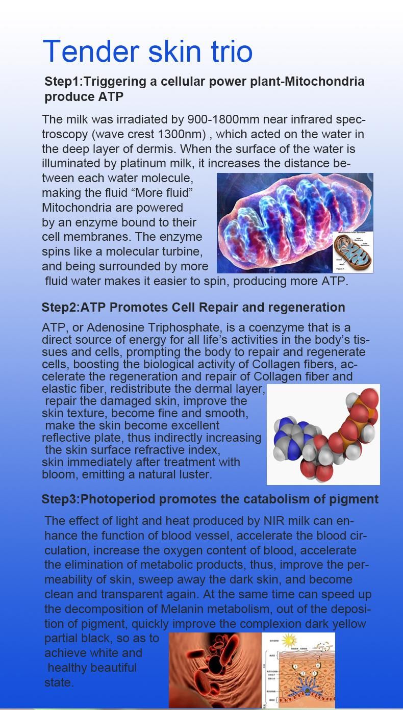 2022 Nir Delicate Skin ATP Promotes Cell Repair and Regeneration Can Enhance The Function of Blood Vessel Beauty Equipment Nir Laser