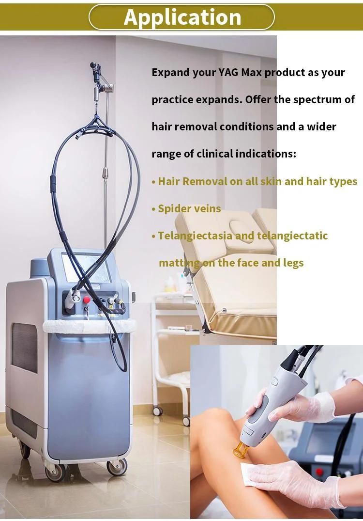 Alexandrite Laser 755nm Hair Removal Equipment Alex Long Pulse Hair Removal ND YAG and Alexandritemachine