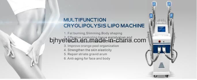 Professional Cryolipolysis Slimming Machine Fat Loss Weight Loss Equipment