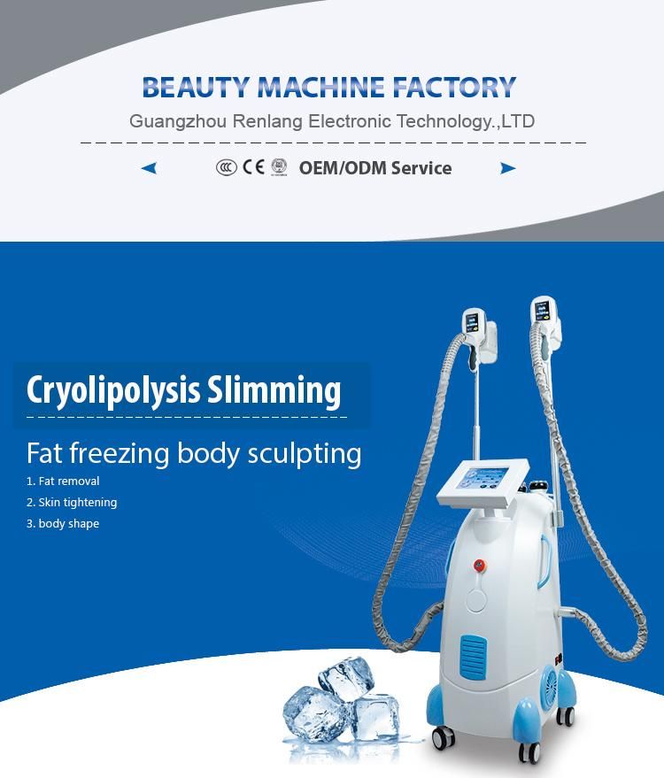 2019 China Manufacturer Four Cryolipolysis Machine for Sale/Criolipolisis Machine Cryolipolysis