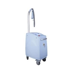 Er Glass Laser Salon Beauty Equipment with Body Skin Rebuilt