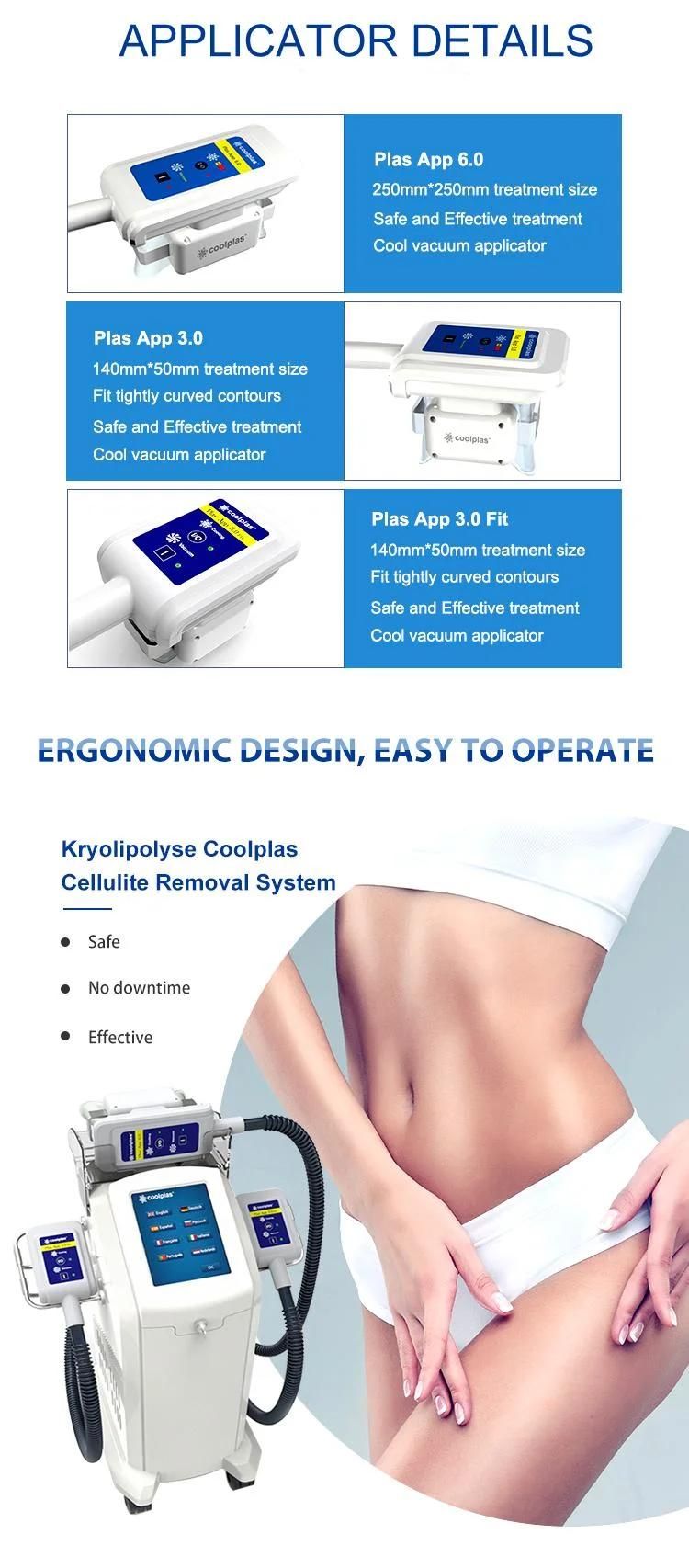 Factory Wholesale Slim Ice Beauty Equipment Kryolipolyse Fat Freezing Weight Loss