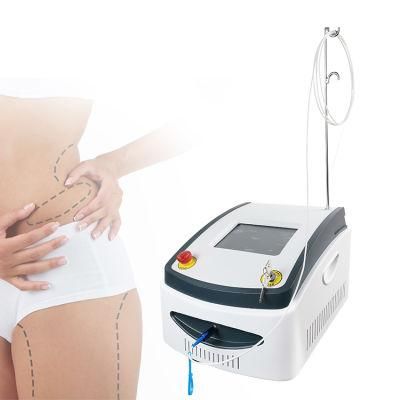 Body Fat Reduction Weight Loss Liposuction Endolift Face Laser Machine