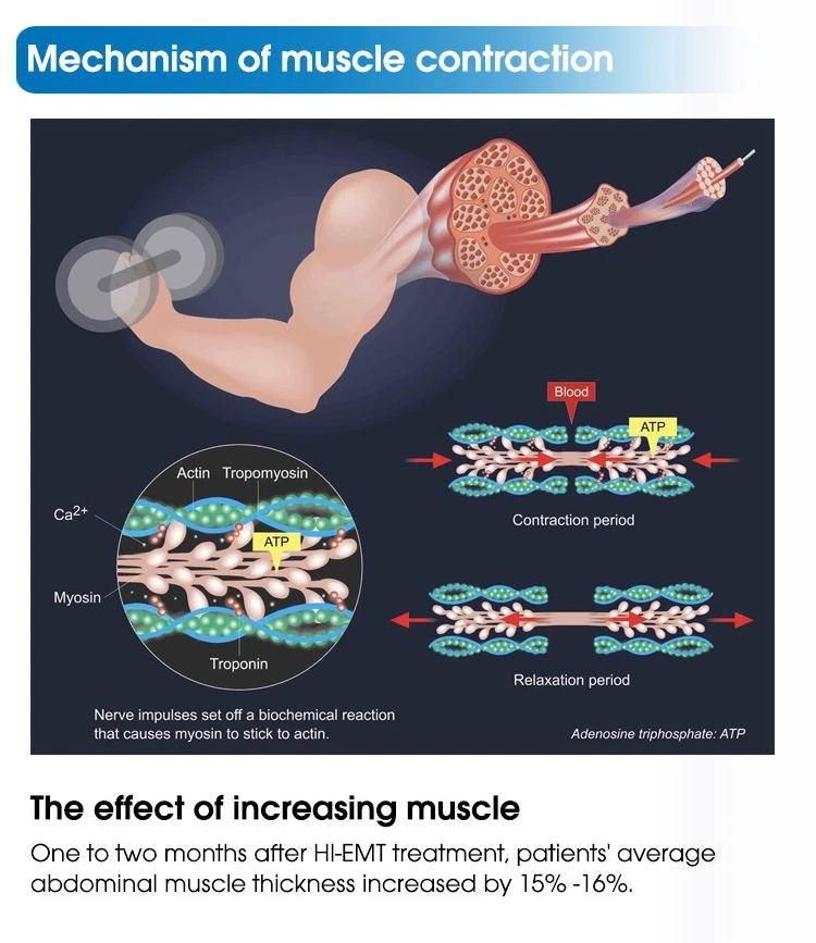Body Building Electromagnetic Muscle Stimulation Device EMS Slimming Machine /High Frequency Teslasculpt Hiemt Electromagnetic