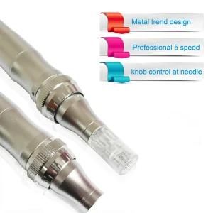 Derma Pen Needle Roller Microneedle Pen Beauty Machine (YHD-10)