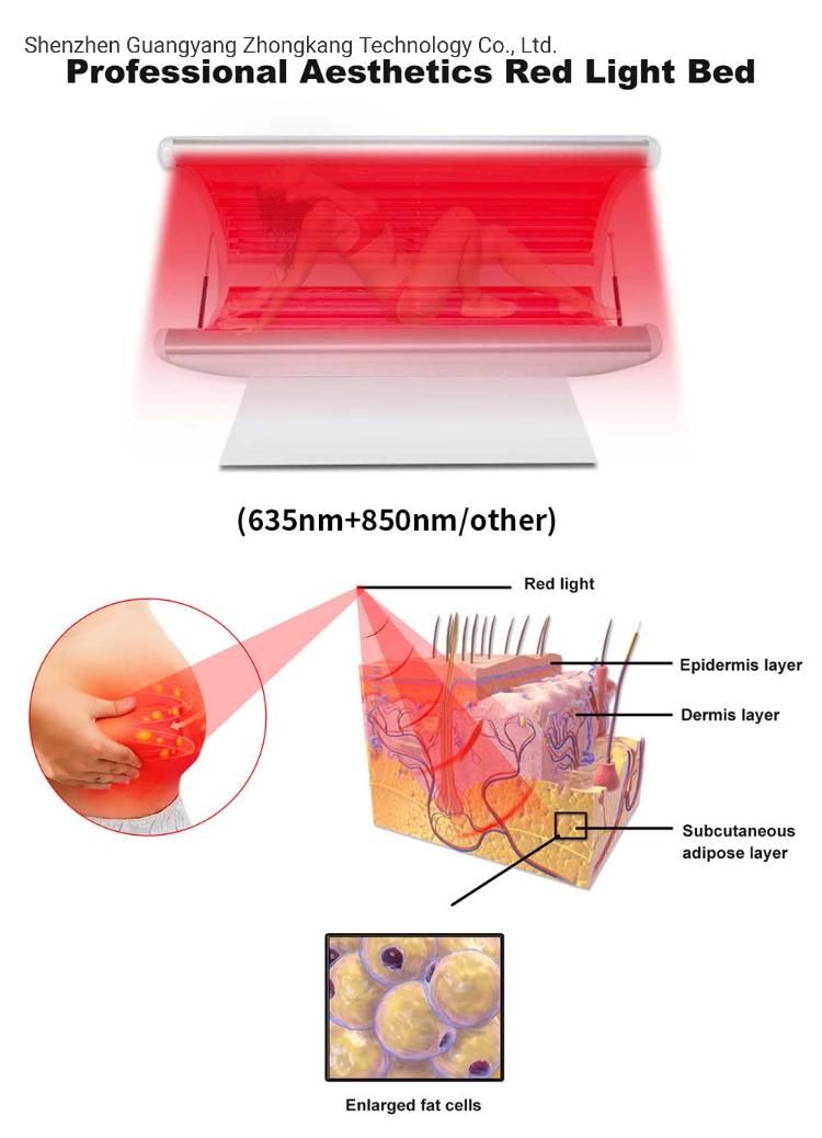 Collagen Bed Red Light Therapy Skin Rejuvenation Pod