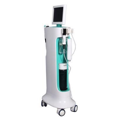 Huafei Multifunction H2O2 Hydrogen Oxygen Small Bubble Facial Beauty Machine