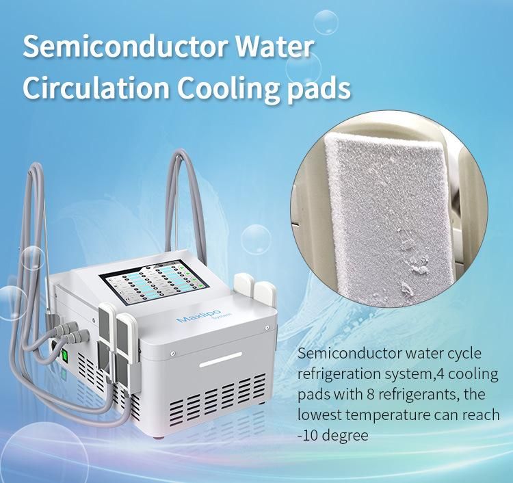 2 in 1 Cryolipolysis Cooling Pads with EMS Function Weight Loss Machine