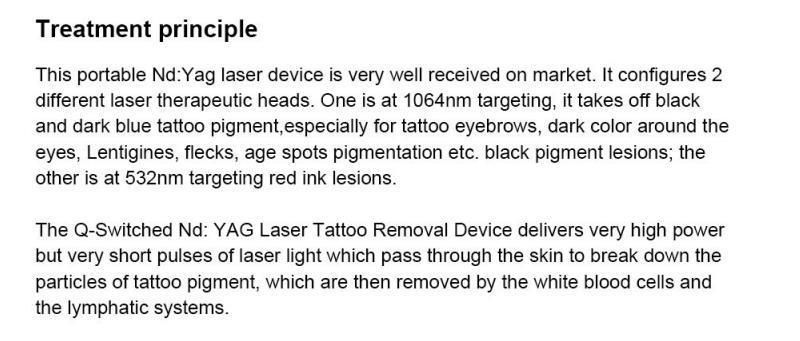 Sincoheren Mini ND-YAG Laser Tattoo Removal Laser Machine Skin Care Birthmark Removal with CE