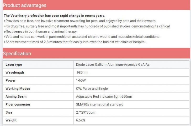 Veterinary Laser Class IV Long Wavelength 980nm Pain Relief for Vet Clinic Pets and Lager Animals Portable Equipment