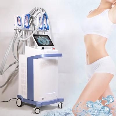 Fat Freezing Cryolipolysis Beauty Salon Medical Machine for Weight Loss