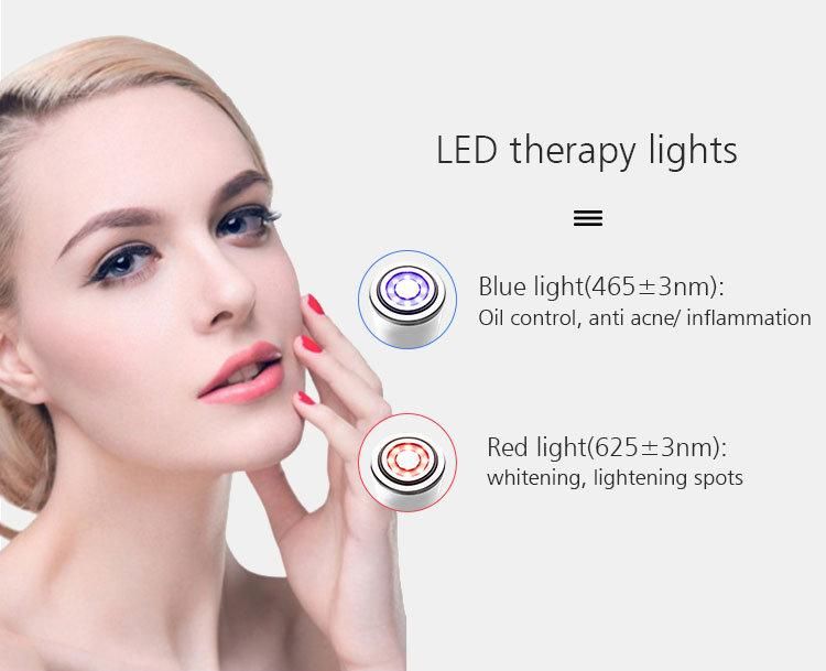 RF&EMS Skin Rejuvenation Device Massage for Skin Firming Skin and Anti-Aging/Black