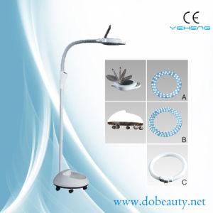 Factory Price Beauty Clinic Tools LED Cold Light Magnifier (H3008)