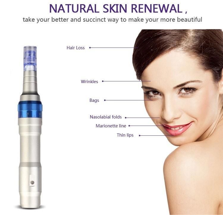 High Quality Skin Wrinkle Removal Microneedle Pen